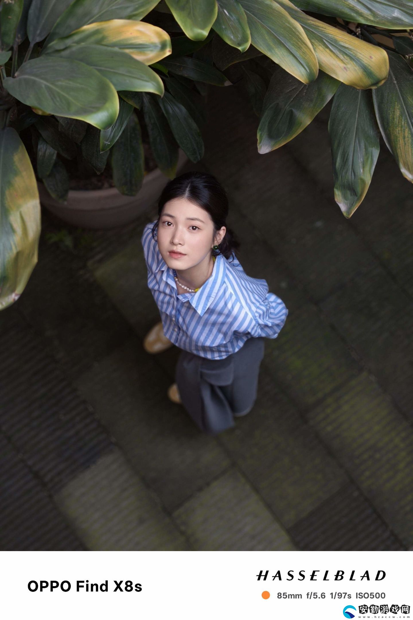 【IT之家評(píng)測室】OPPO
